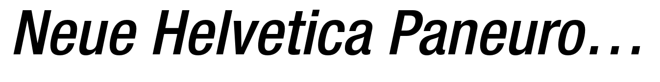 Neue Helvetica Paneuropean 67 Condensed Medium Oblique